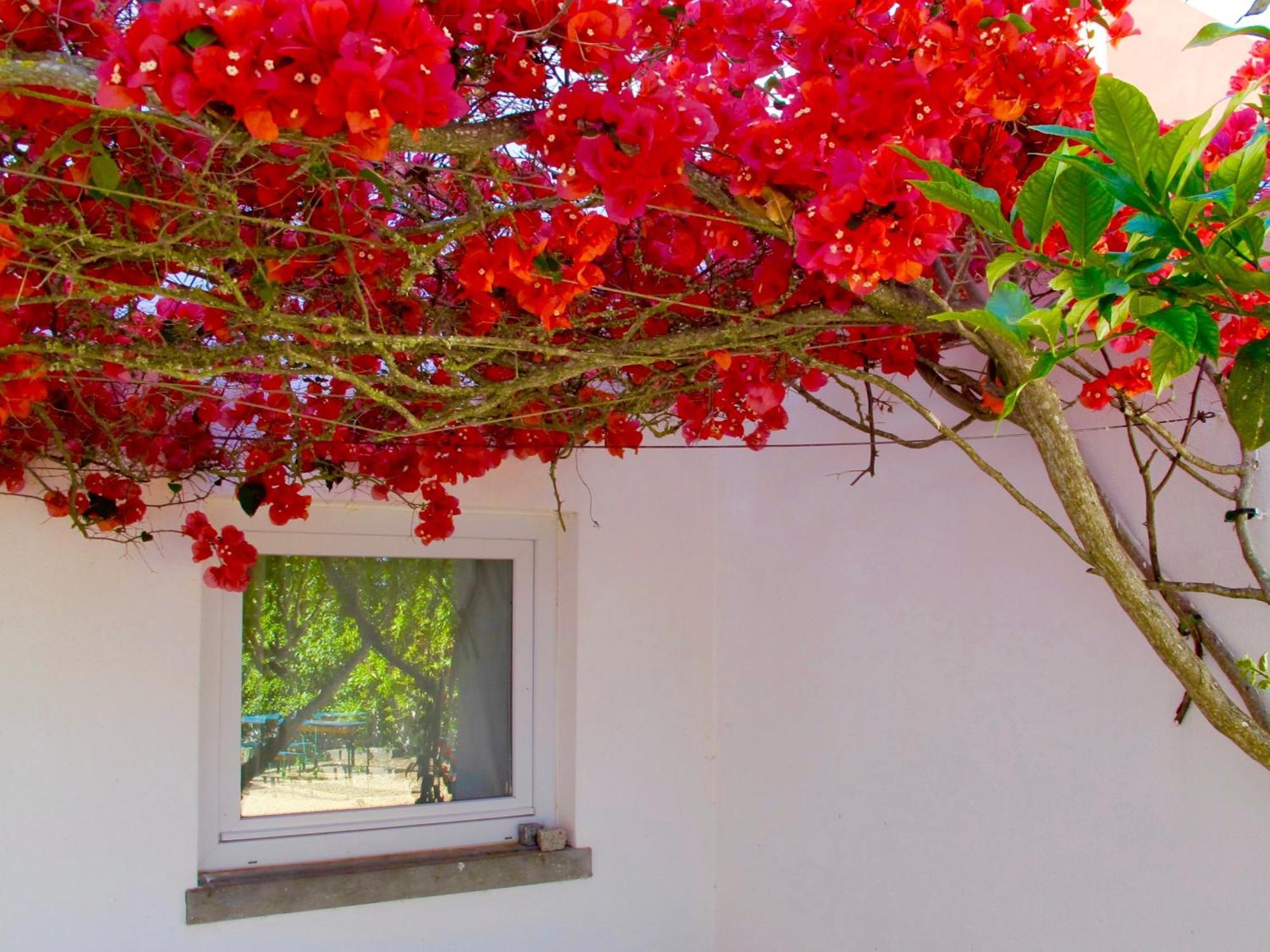 Seaya Villas Cascais Rum bild